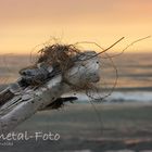 Strandgeschichten II