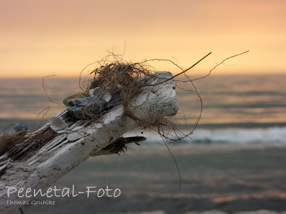 Strandgeschichten II