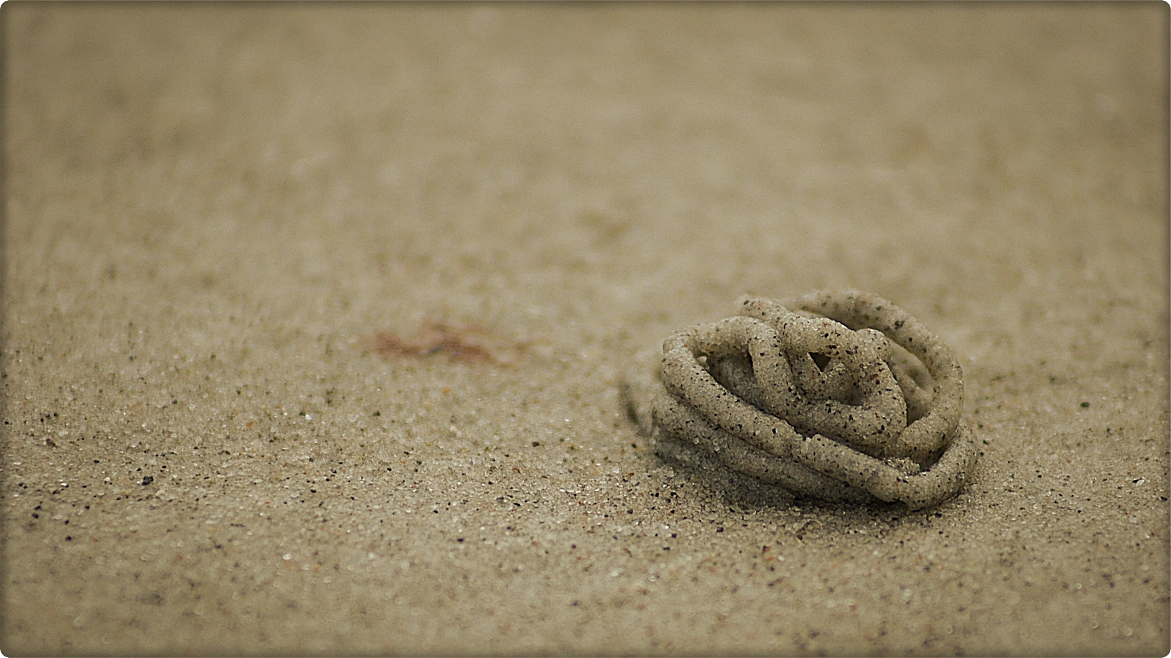 Strandgeschichten - Spurenlese