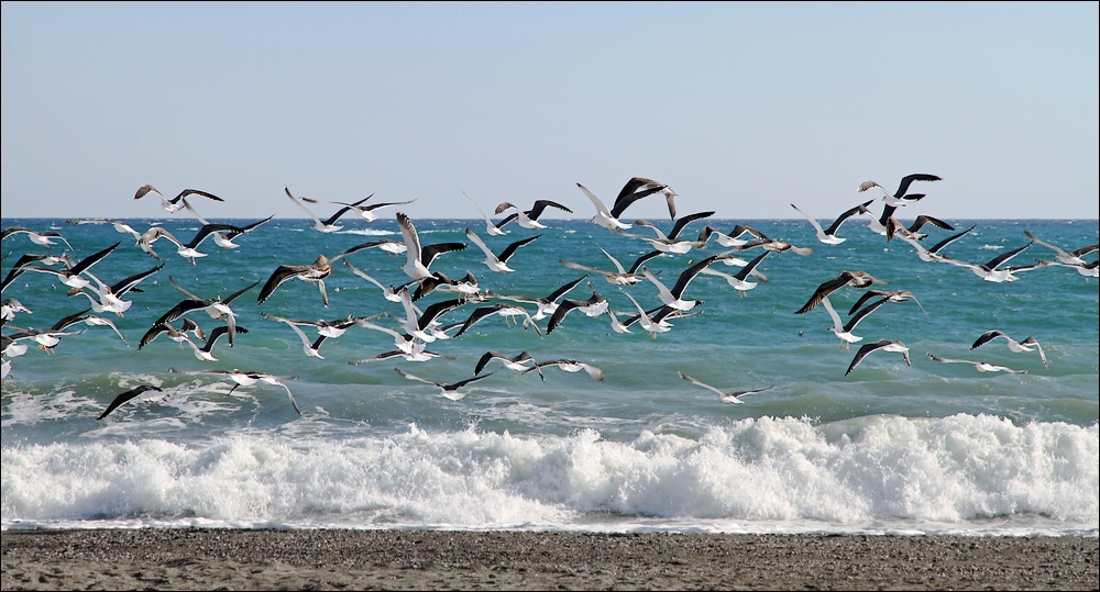 Strandgeschwader