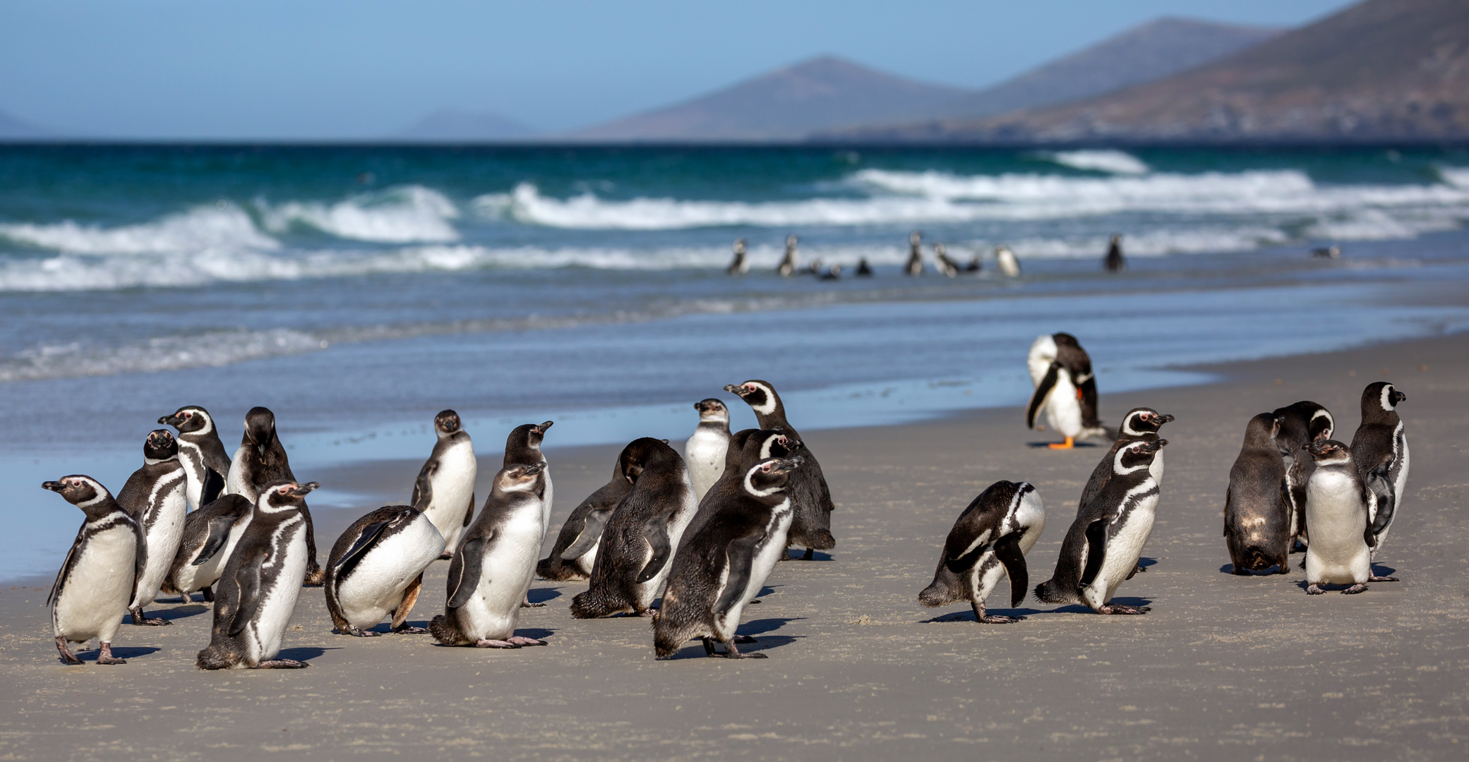 Strandgesellschaft