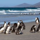 Strandgesellschaft