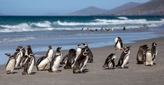 Strandgesellschaft