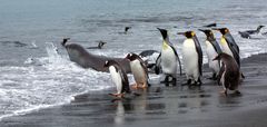 Strandgesellschaft