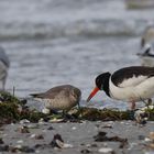 Strandgespräch ...