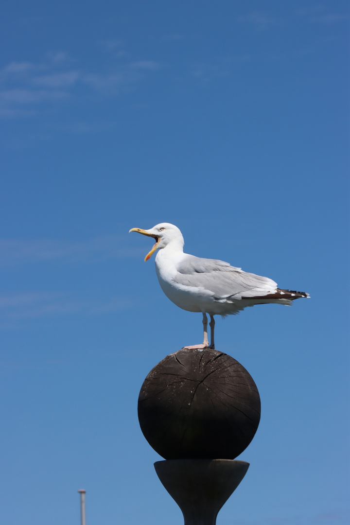 Strandgespräche