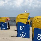 Strandgetümmel 28. Kalenderwoche 2009