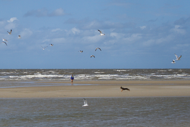 Strandgetümmel