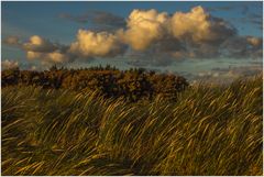 Strandgras im Herbstwind... (mit poetischen Zeilen...) 