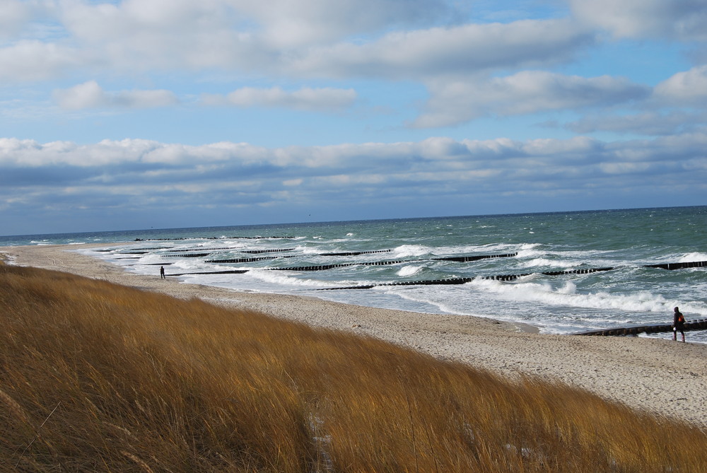 Strandgras, Meer und eisiger Wind Foto &amp; Bild | landschaft, meer ...