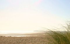 Strandgrass in Nieblum