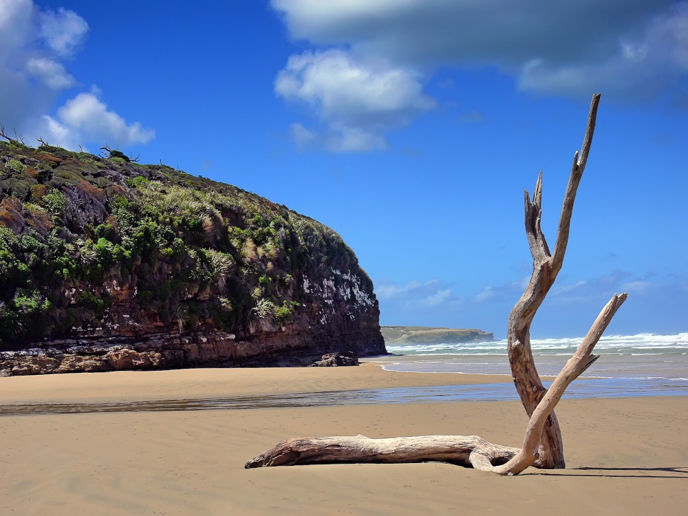 Strandgut von Thomas Oser 