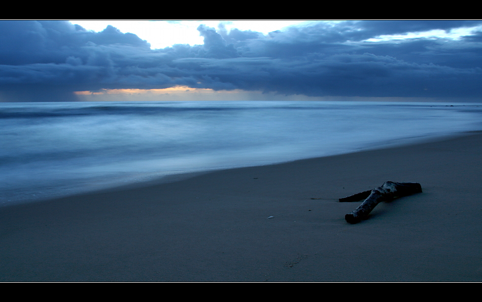 Strandgut