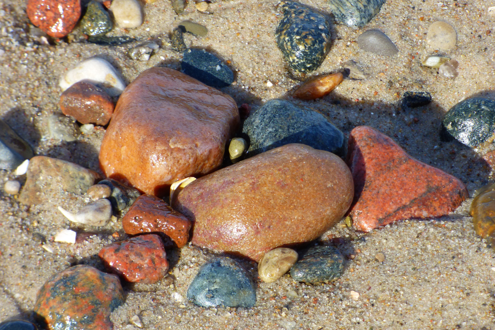 Strandgut 