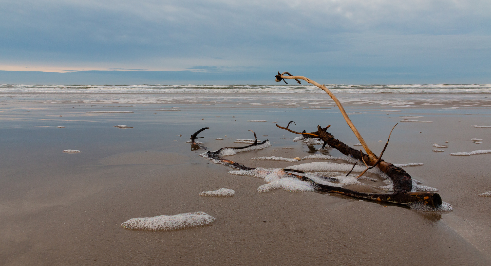 Strandgut