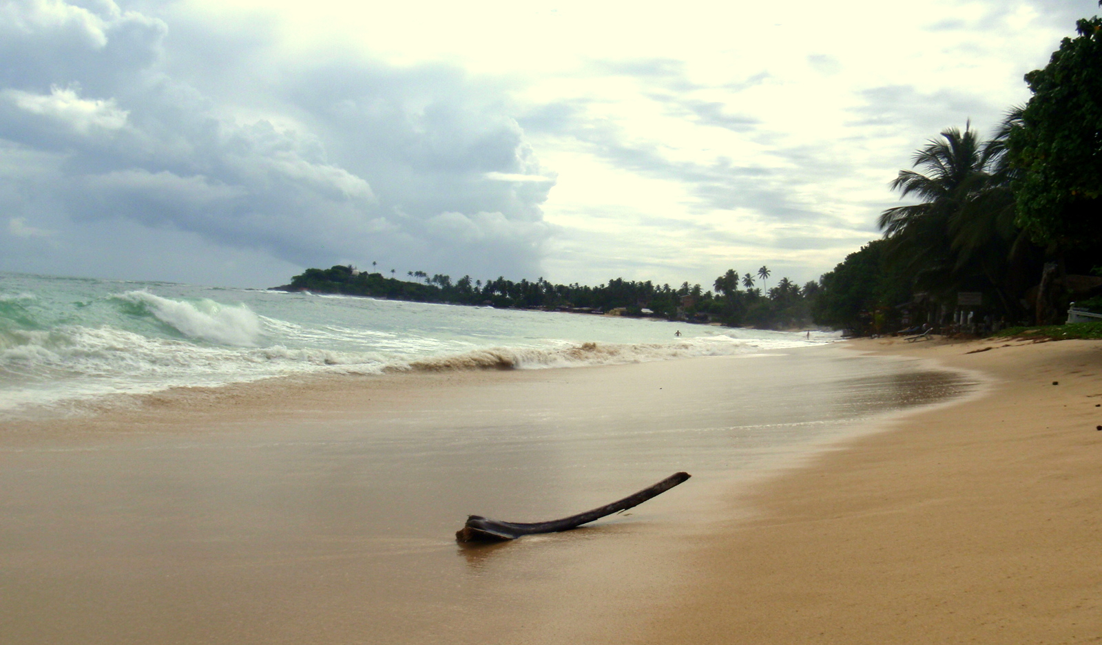 Strandgut