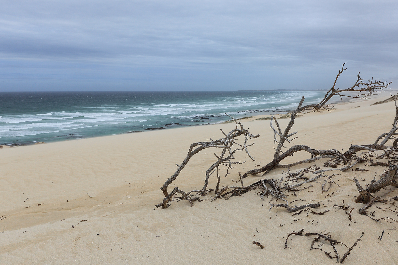 STRANDGUT 