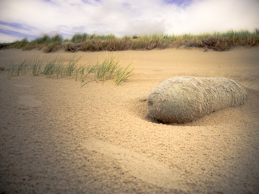 Strandgut #2