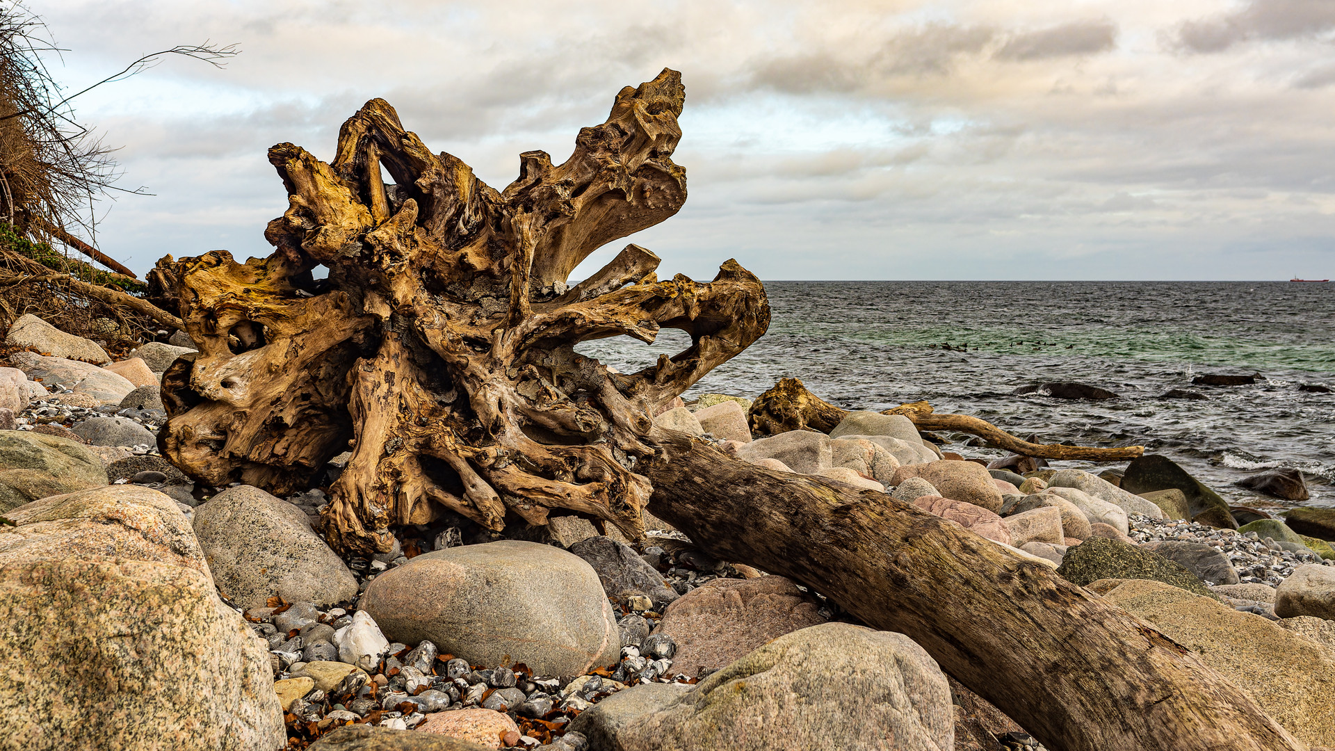 Strandgut (2)