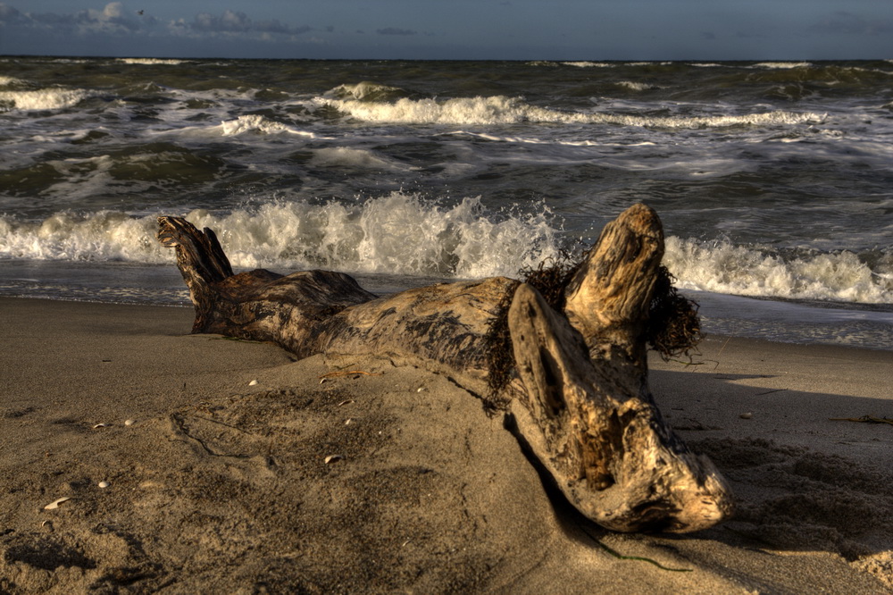 Strandgut 2