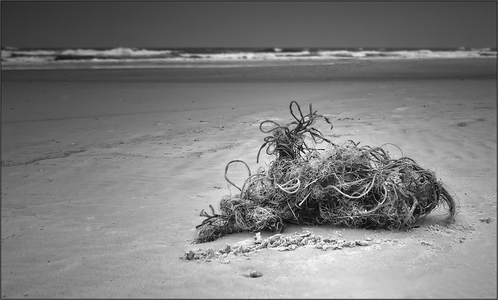 Strandgut