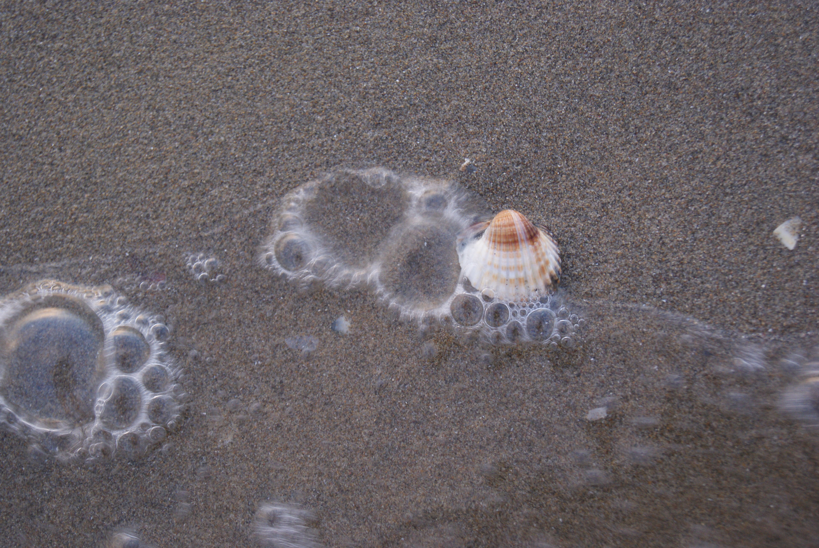 Strandgut