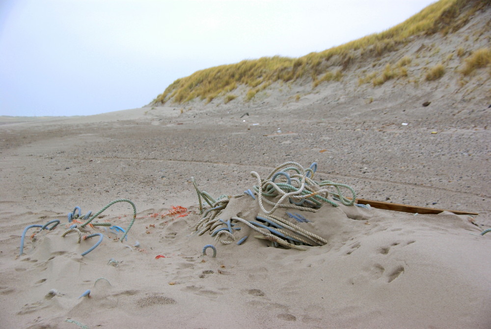 Strandgut