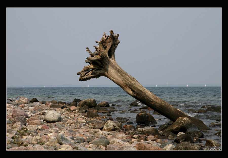 Strandgut...