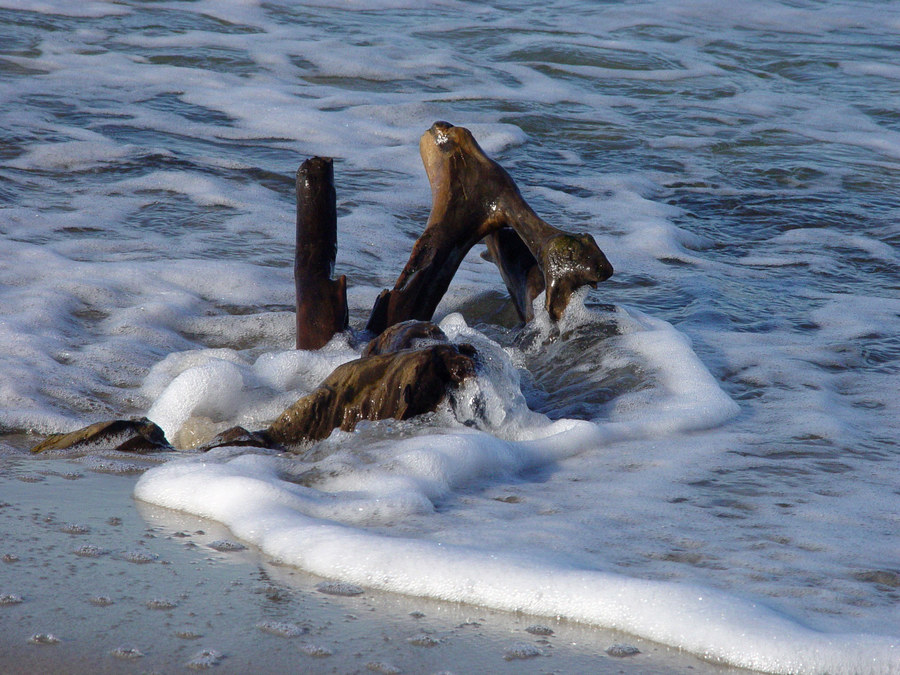 Strandgut