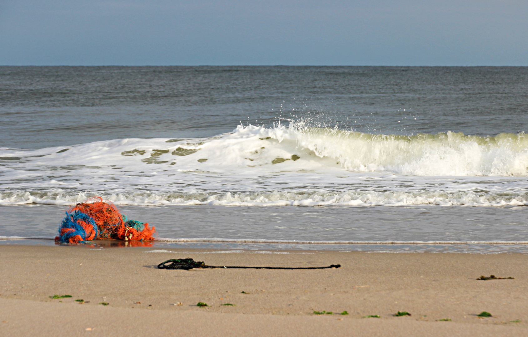 Strandgut 