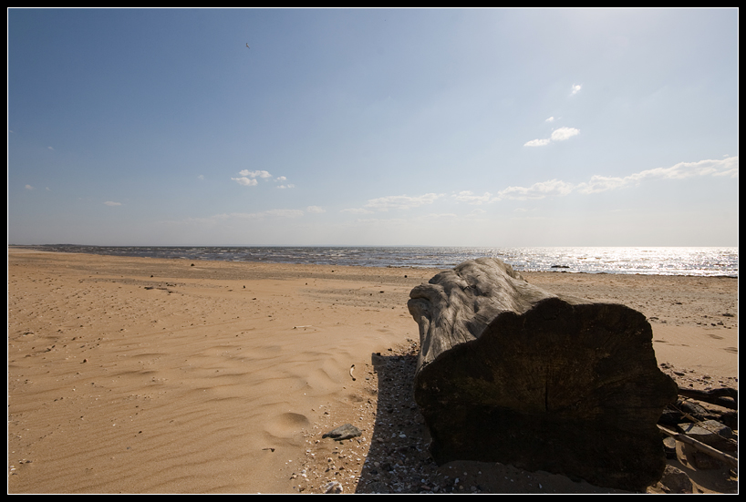 Strandgut