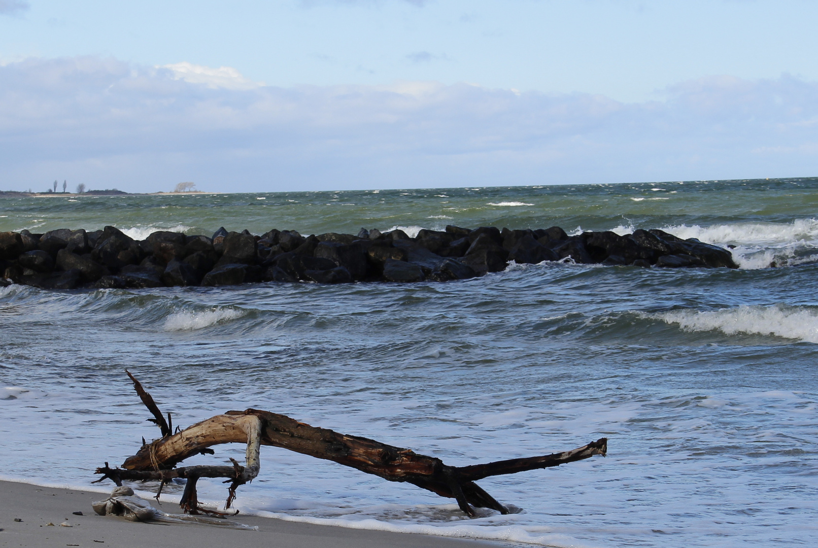 Strandgut