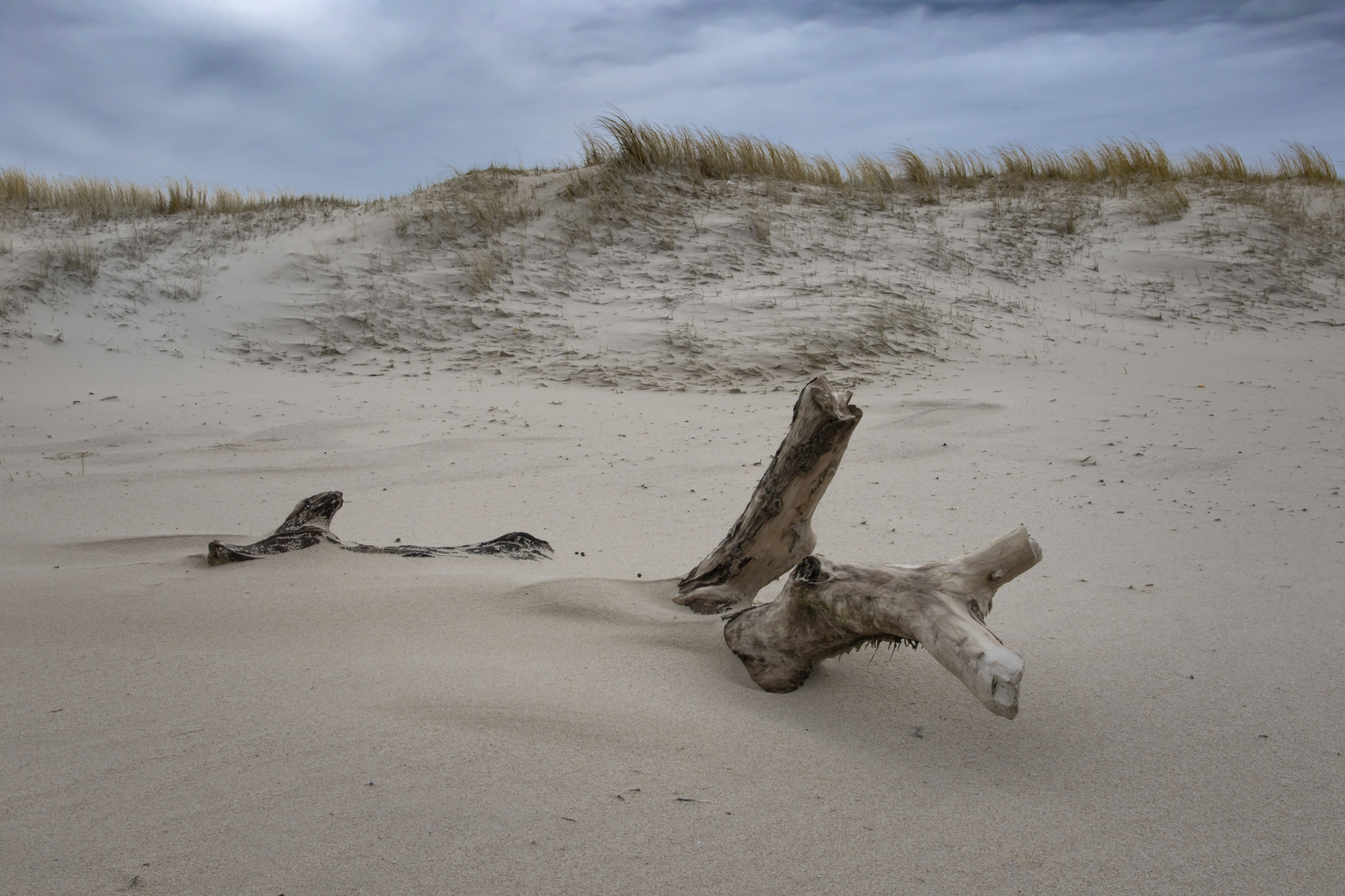 Strandgut