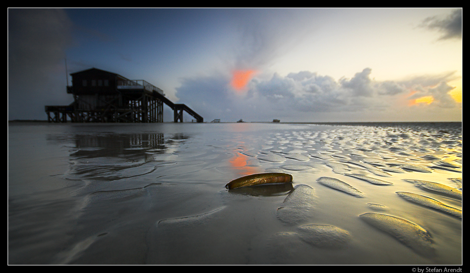 Strandgut