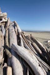 *Strandgut* am Combers Beach und eine Geschichte