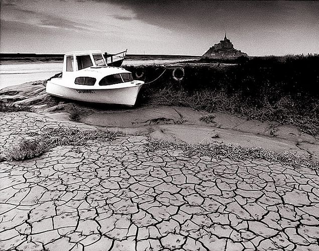 Strandgut am Mont St. Michel