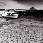 Strandgut am Mont St. Michel