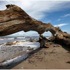 Strandgut am Weststrand (original)