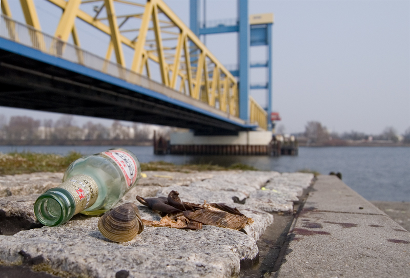 Strandgut an der Kattwyk-Brücke