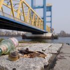 Strandgut an der Kattwyk-Brücke