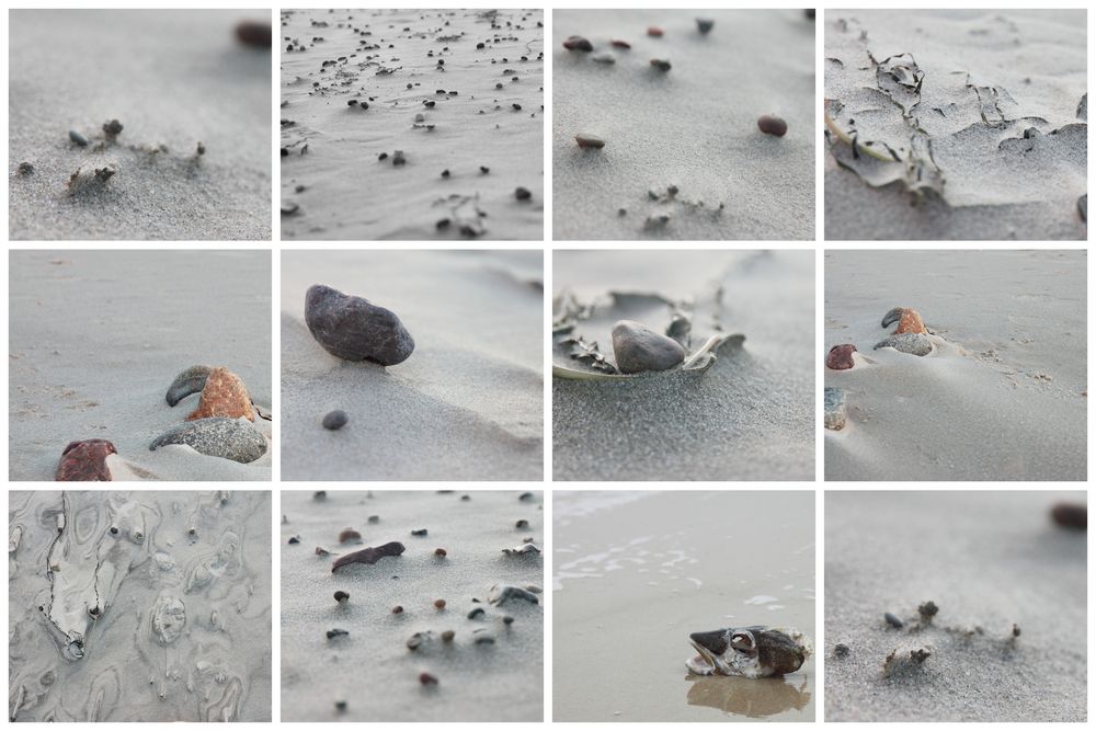 Strandgut an der Ostsee