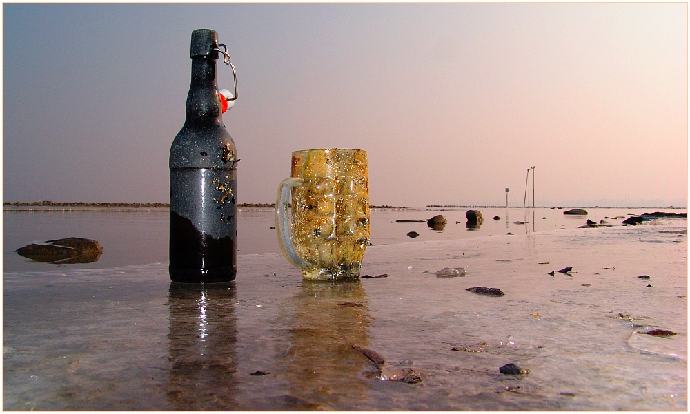 Strandgut - Arbon am Bodensee im Winter