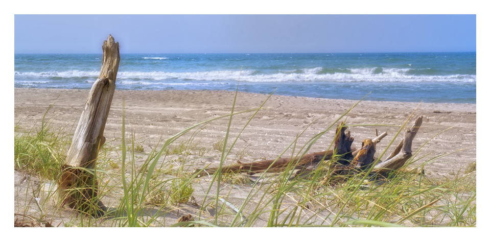 Strandgut auf dem Darß