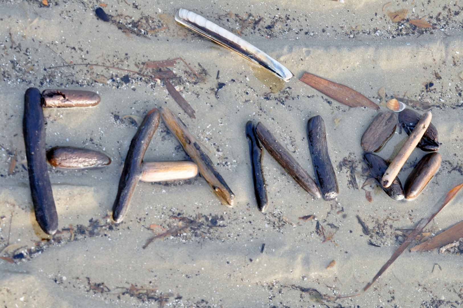 Strandgut auf Fanø