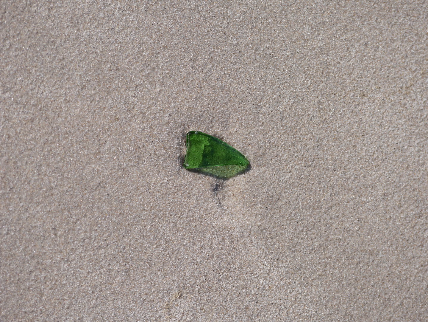 Strandgut auf Wangerooge