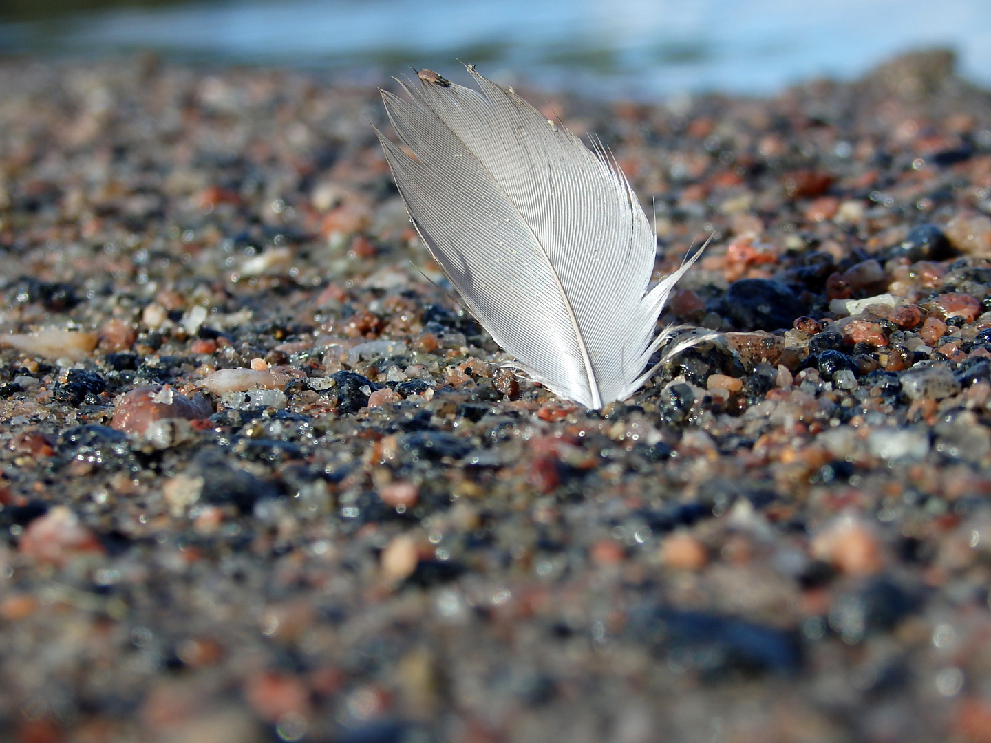 Strandgut