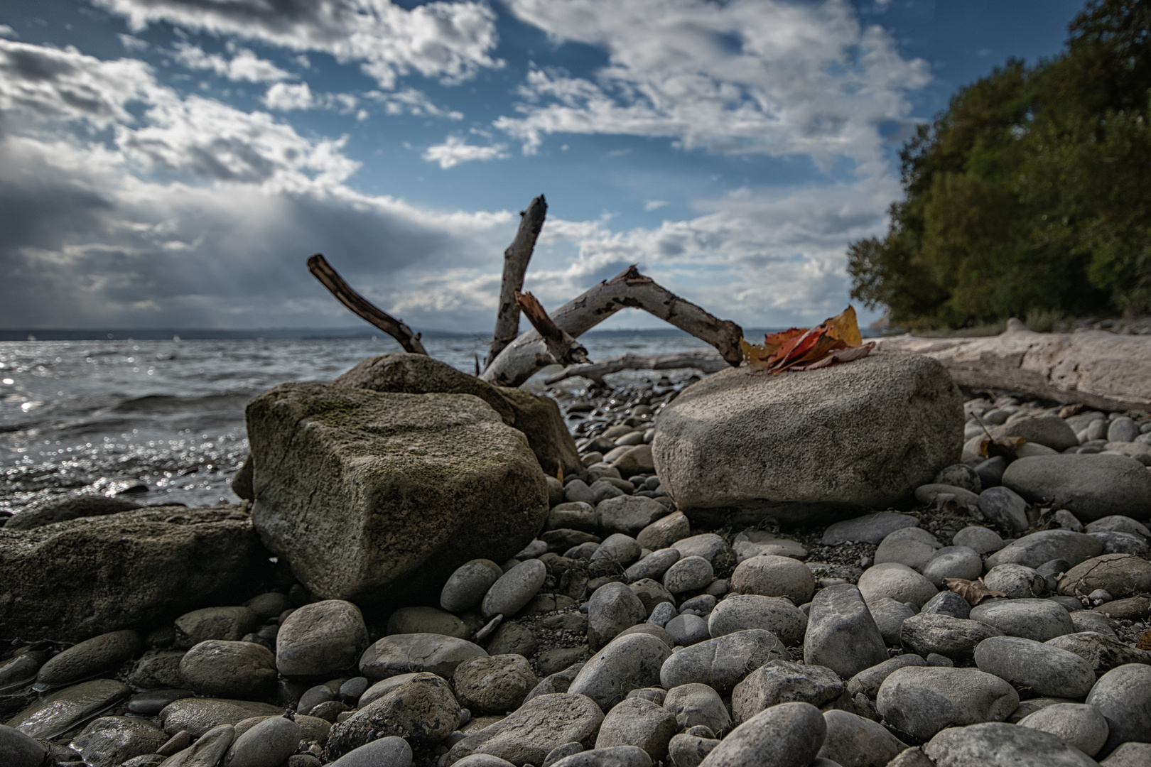 Strandgut Bodensee