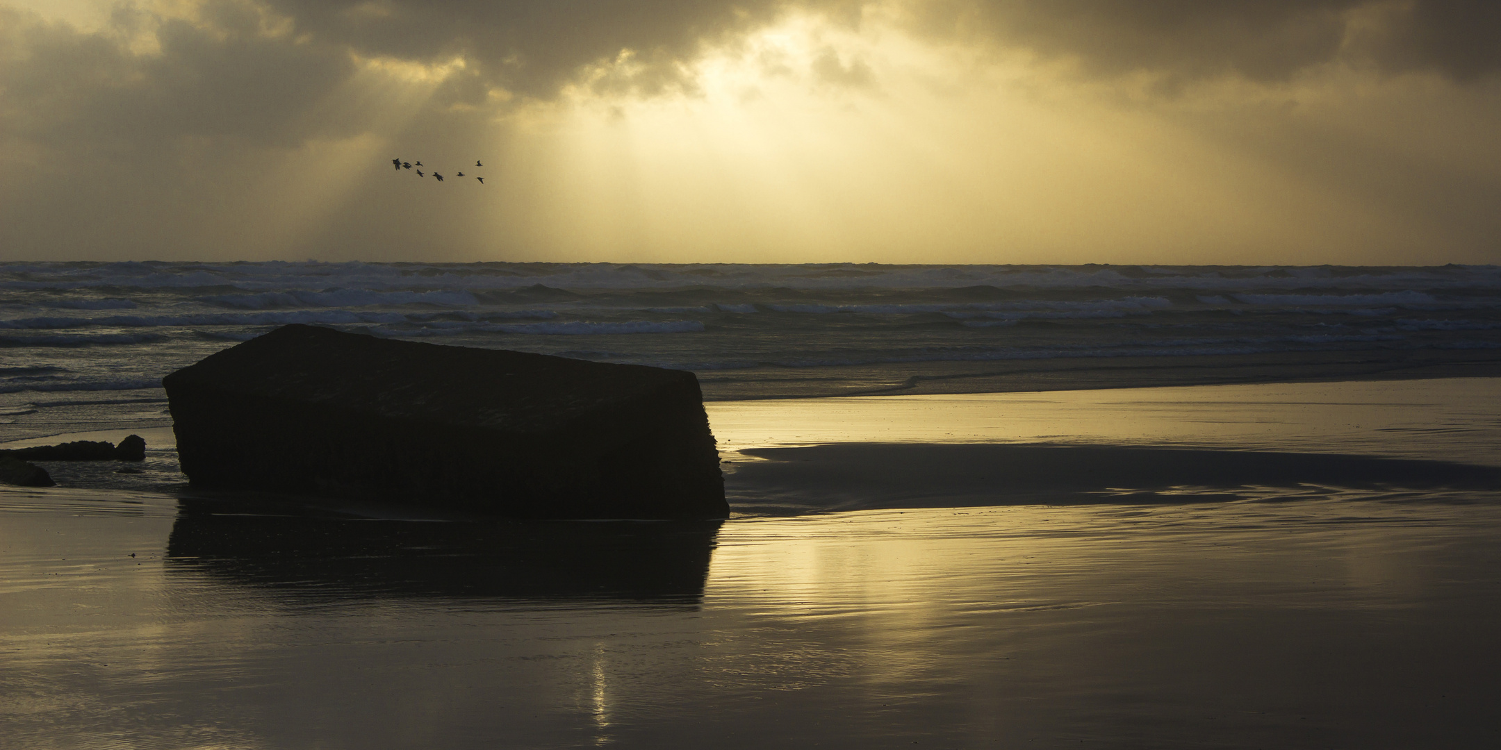 Strandgut