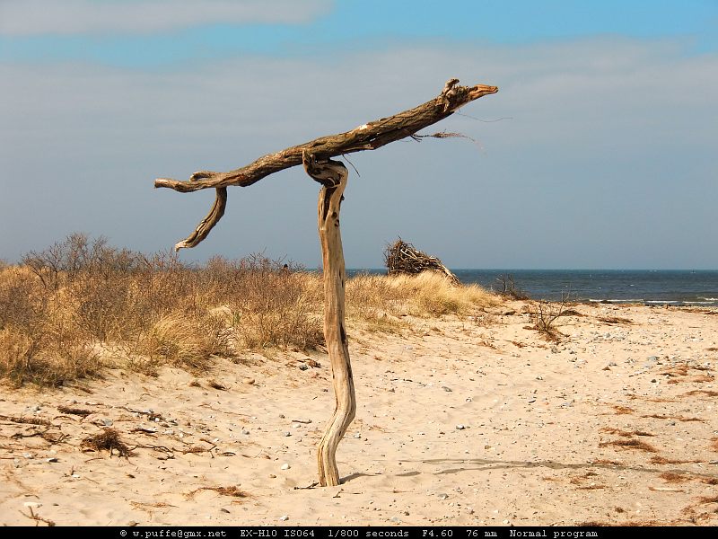 Strandgut