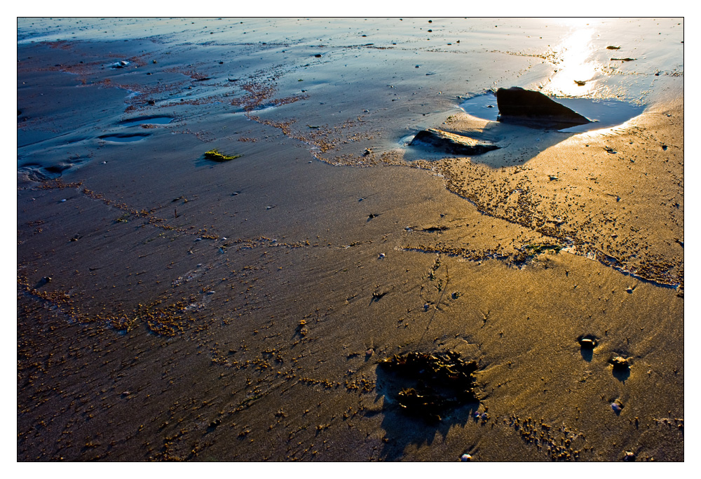 Strandgut